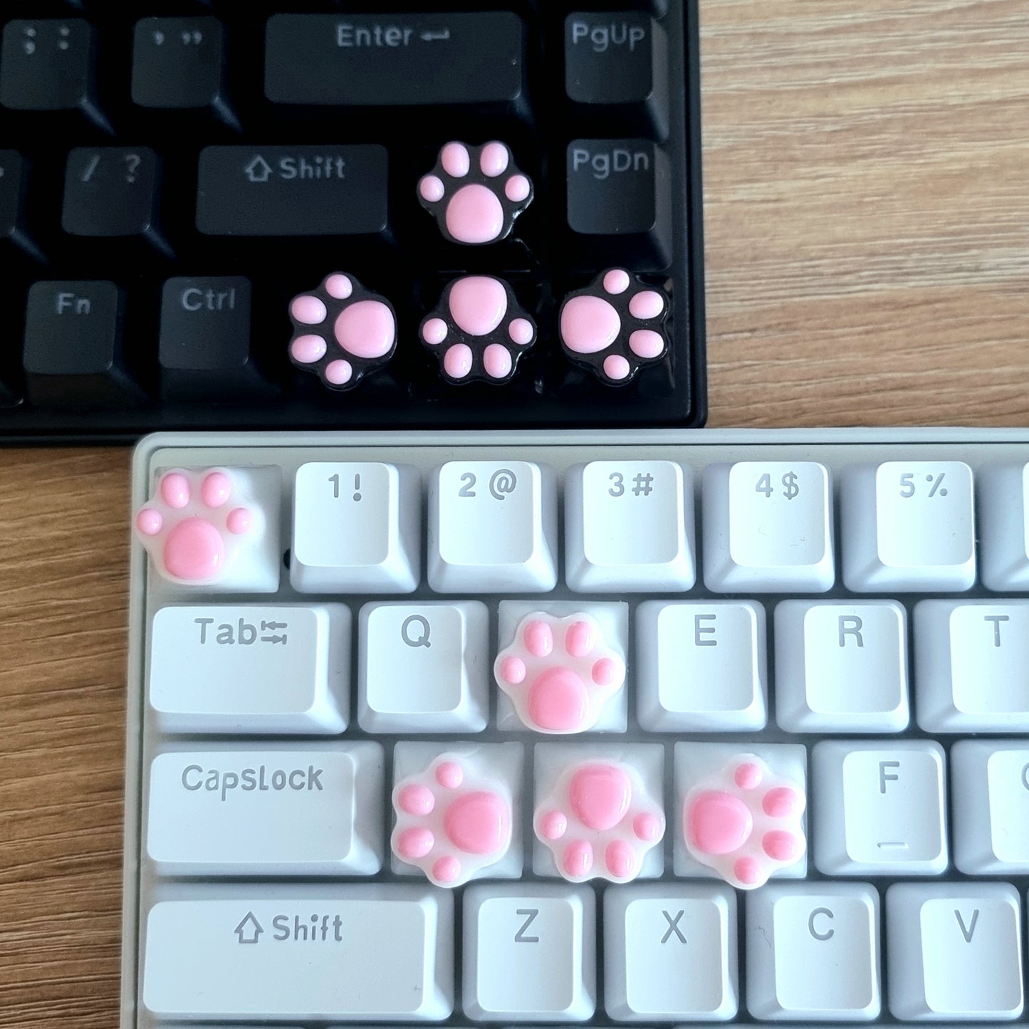 PAW KEYCAP From Resin | BASIC