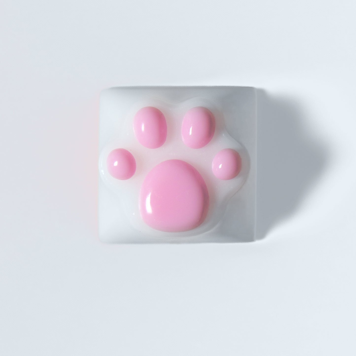 PAW KEYCAP From Resin | BASIC