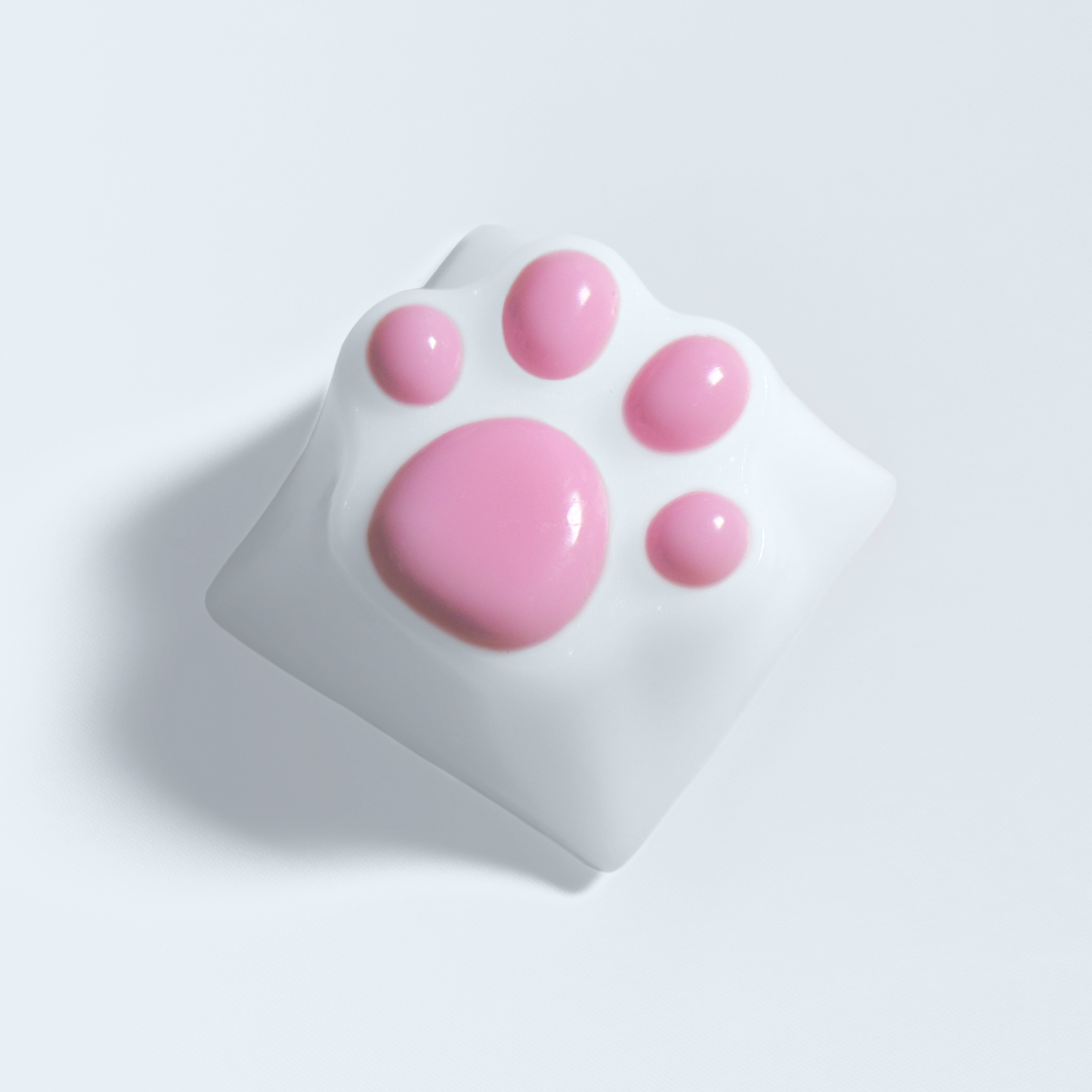 PAW KEYCAP From Resin | BASIC