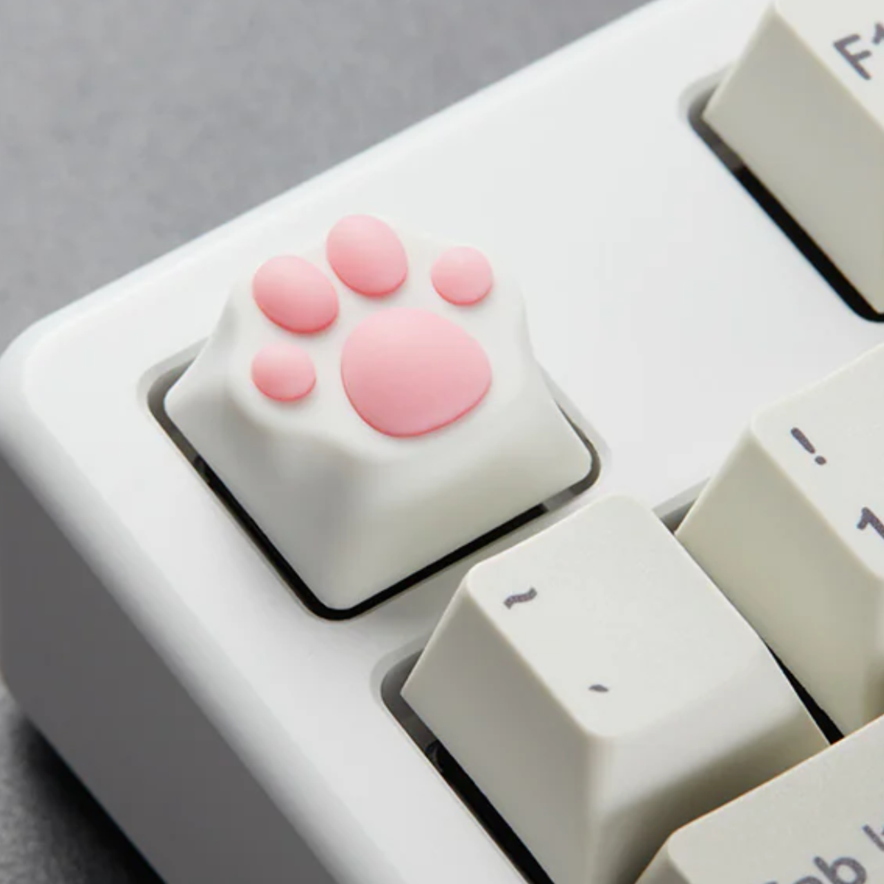 PAW KEYCAP With Soft Beans | PREMIUM