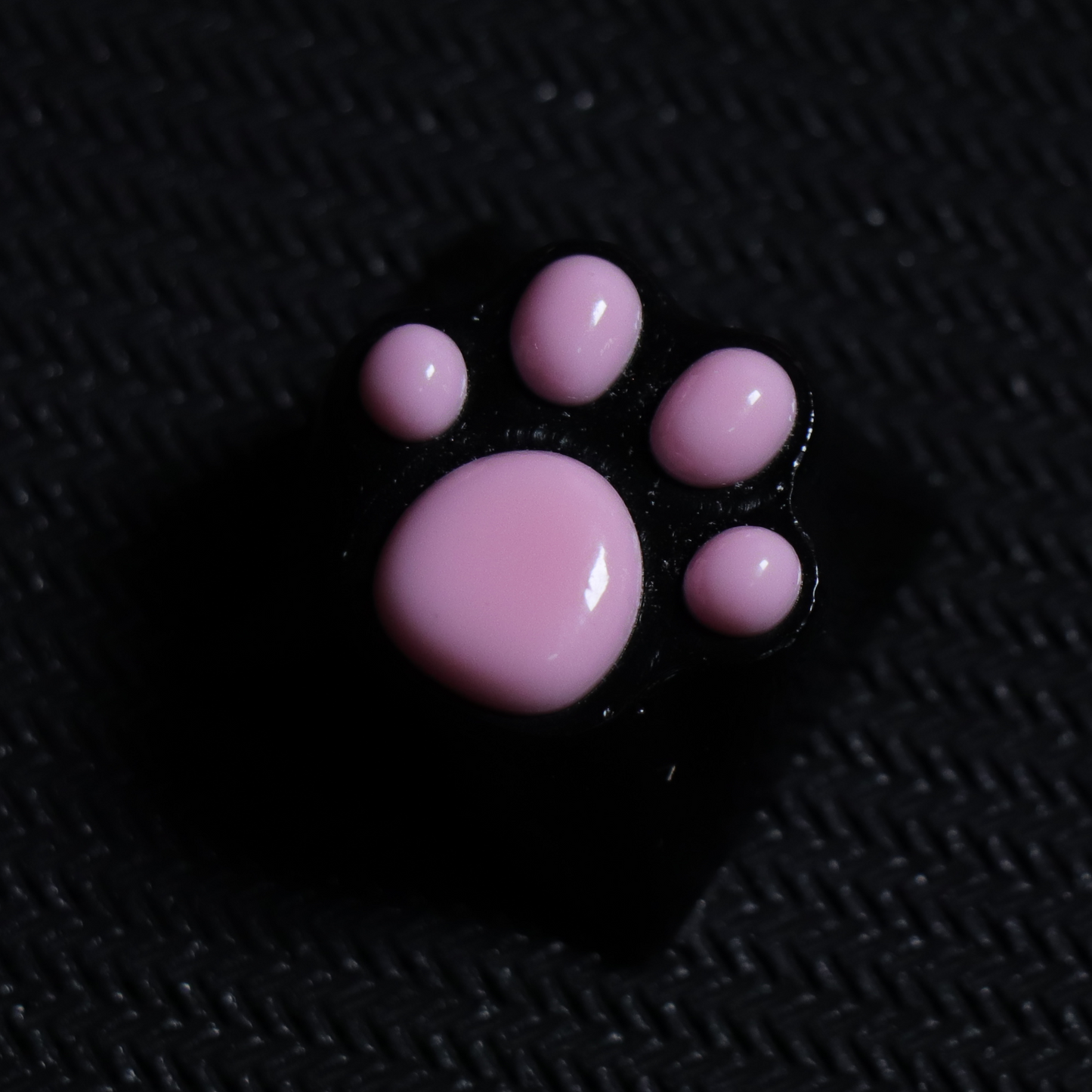 PAW KEYCAP From Resin | BASIC
