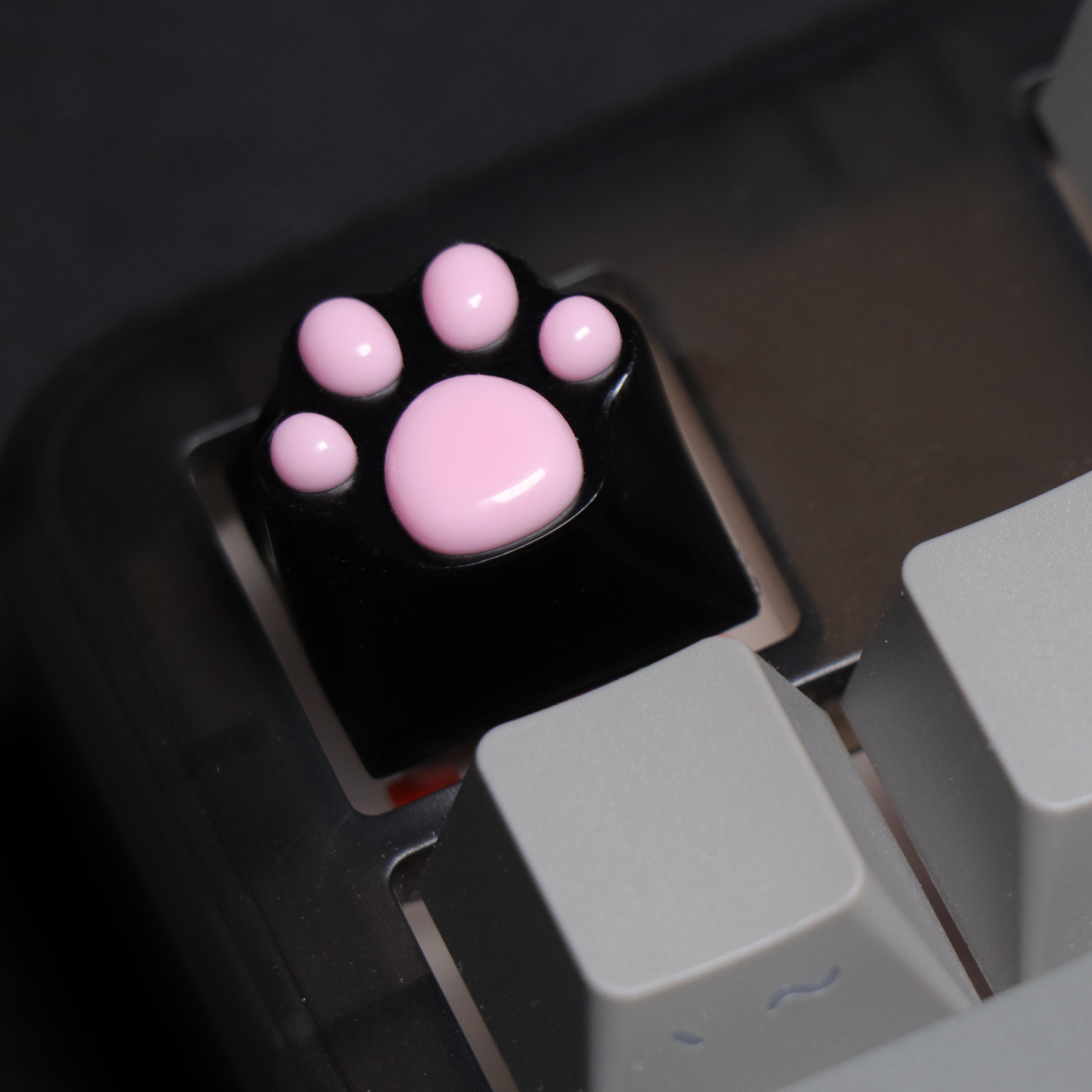 PAW KEYCAP From Resin | BASIC