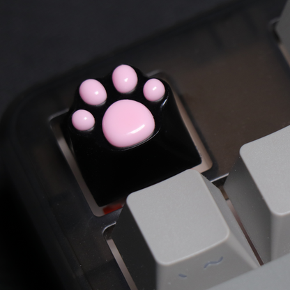 PAW KEYCAP From Resin | BASIC