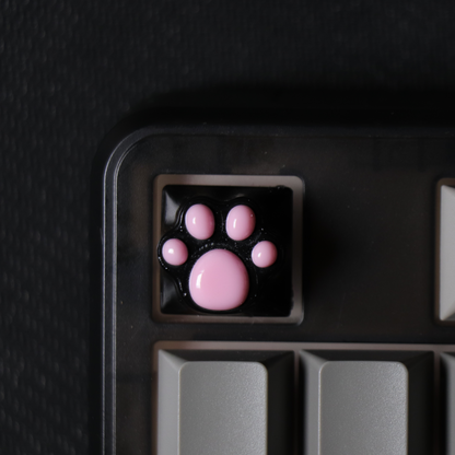 PAW KEYCAP From Resin | BASIC