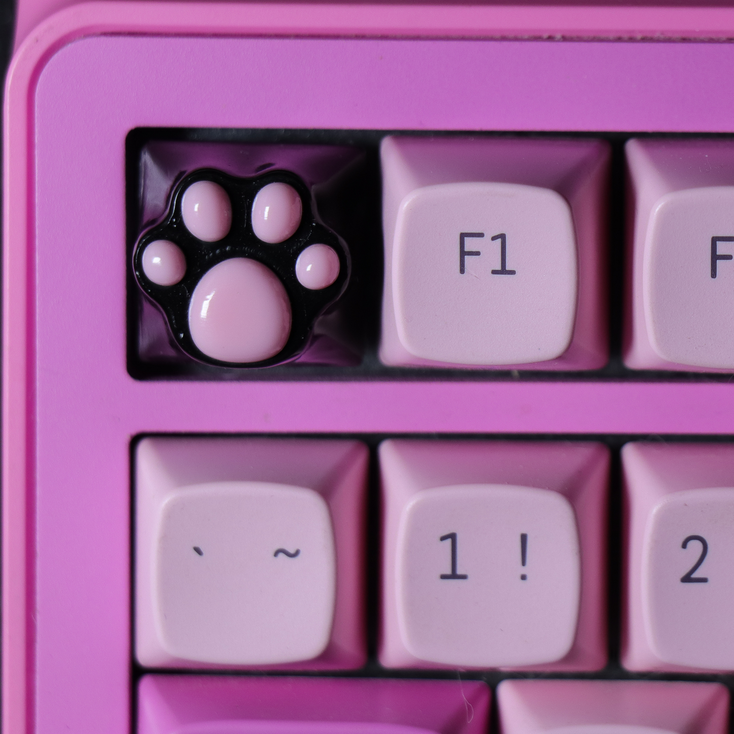 PAW KEYCAP From Resin | BASIC