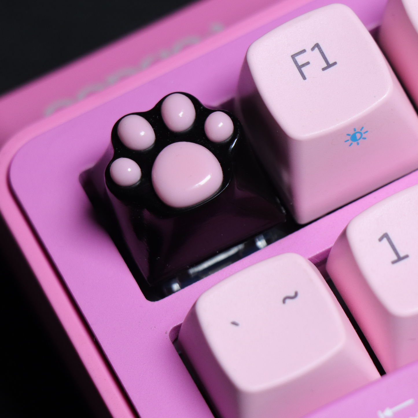 PAW KEYCAP From Resin | BASIC