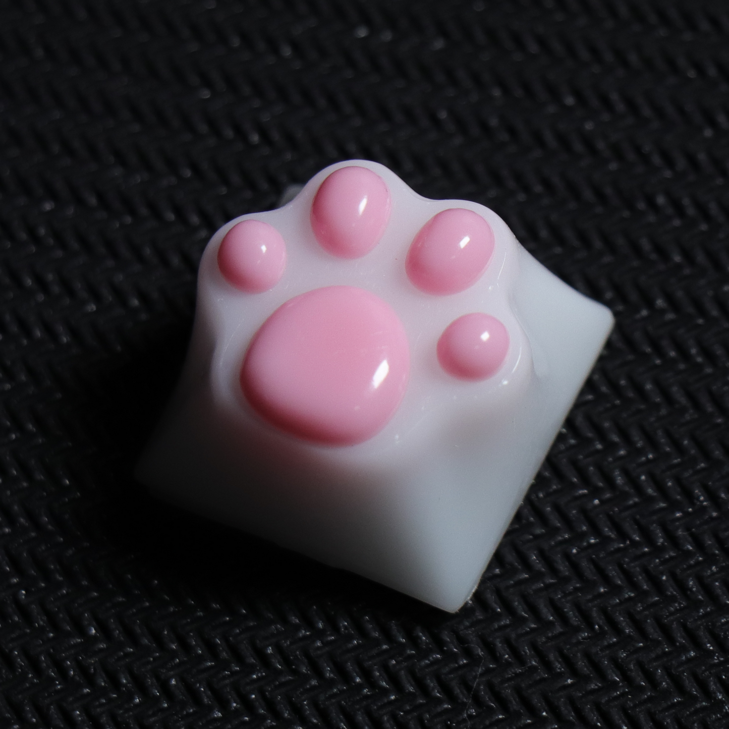 PAW KEYCAP From Resin | BASIC