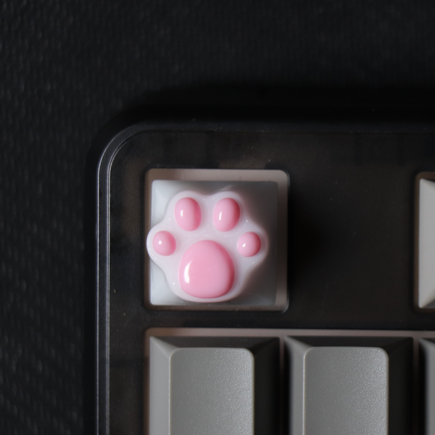PAW KEYCAP From Resin | BASIC