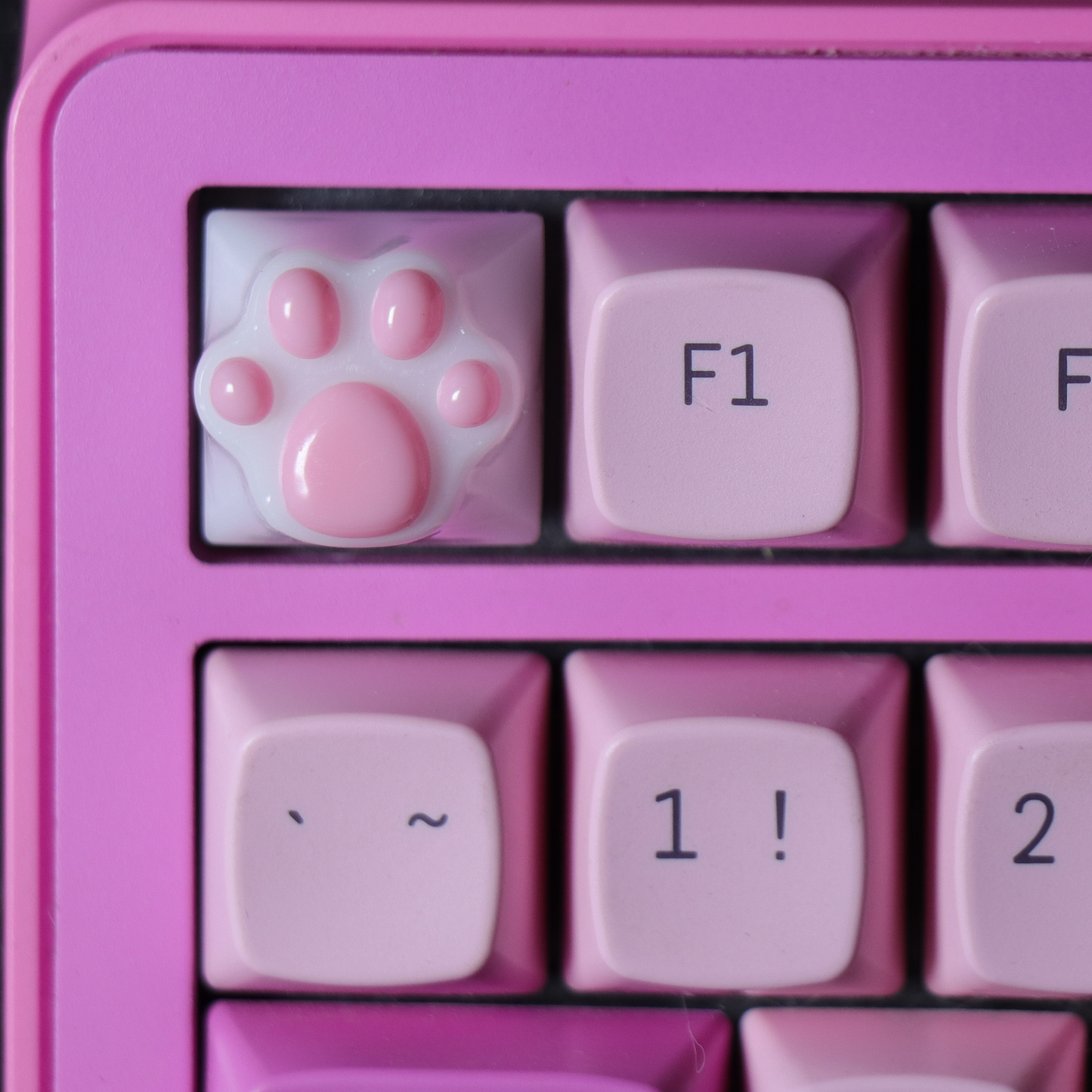 PAW KEYCAP From Resin | BASIC