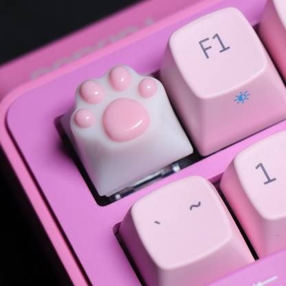 PAW KEYCAP From Resin | BASIC